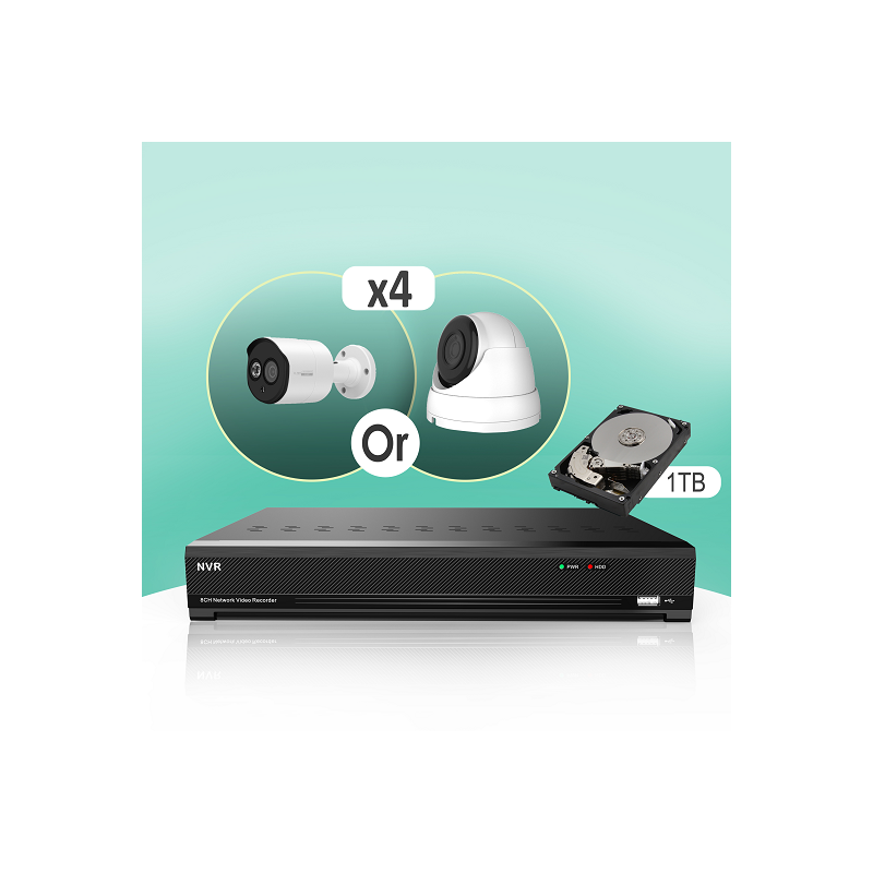 NVR 4 Port NVR 4 Port