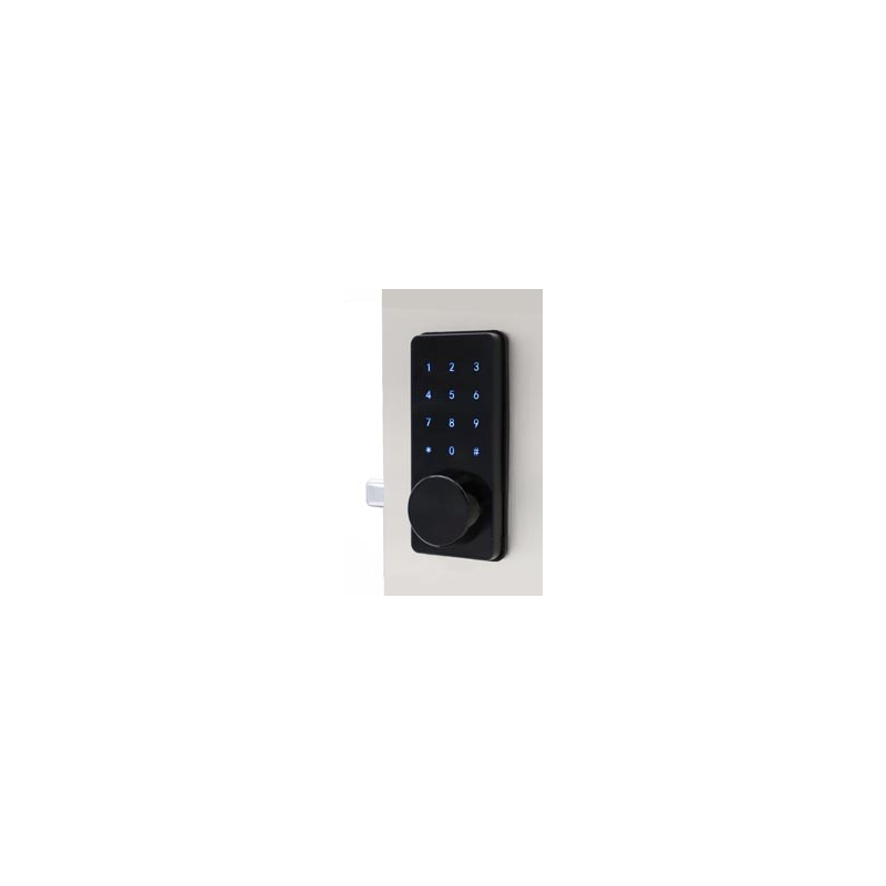 Deadbolt Smart Lock