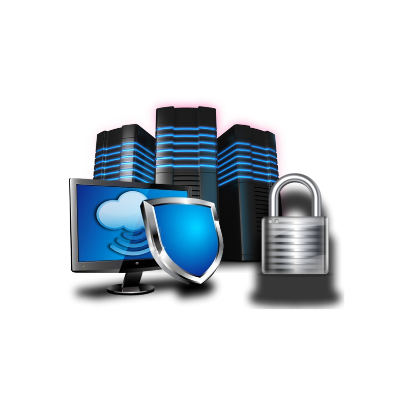 Security Testing